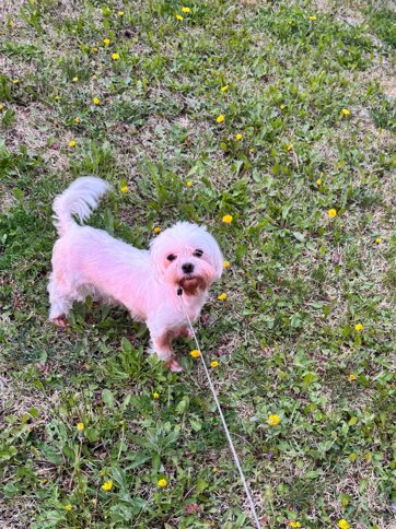 diva. 2.jpeg diva. 2.jpeg