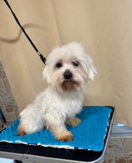 whatsapp image 2026-02-09 at 13.19.52.jpeg