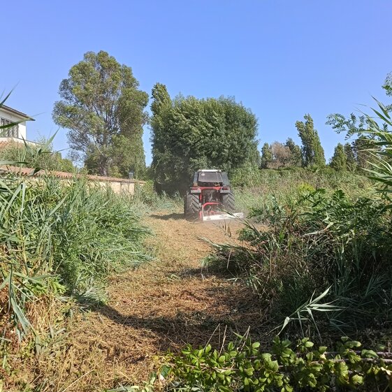 0d54277a-a1c5-4a86-b605-aff8bb2a670c