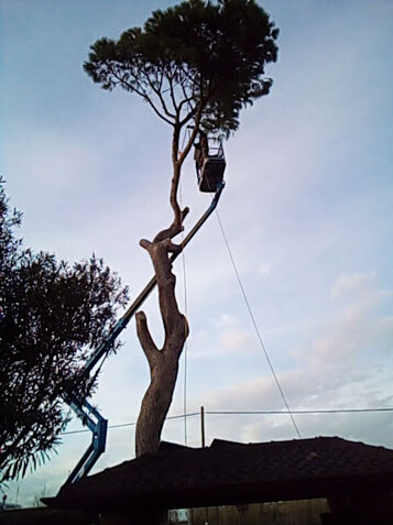 044a2fd2-b617-48fd-a047-7feaf5f64013