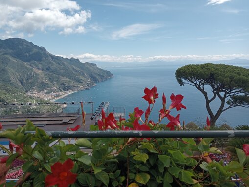 c17951be-8cb2-463d-aad0-4d8ee9bd8530