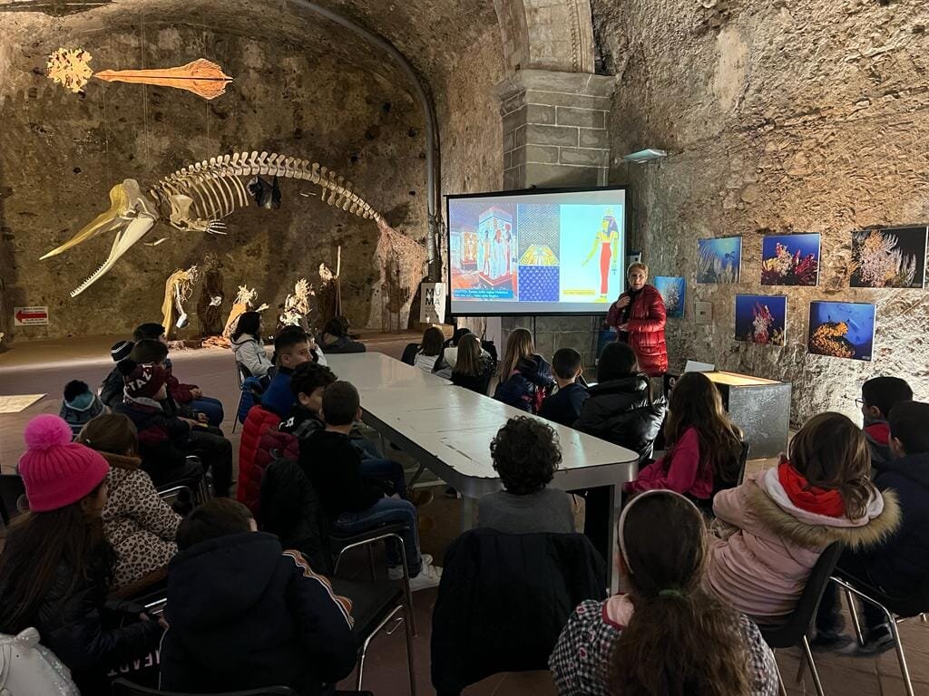 0af434e2-624f-4c89-8eb5-fb9a080aa985