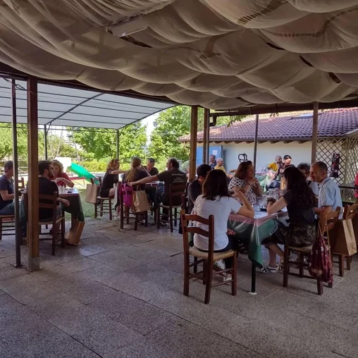 208367174_649213319309841_3897245716900220802_n