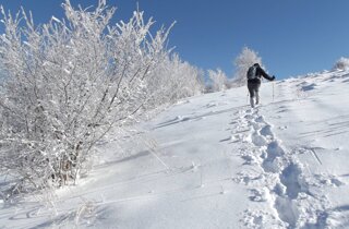 981a6cb4-7543-4f2e-861c-32483d8bdf66