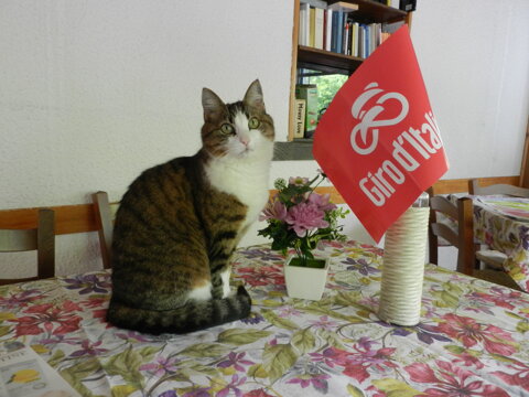 giro d'italia