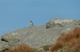 img_0732.jpeg