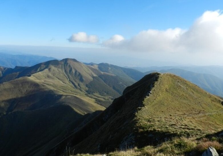 e250e80c-cf37-4821-92a1-18fa8cf7dc5e