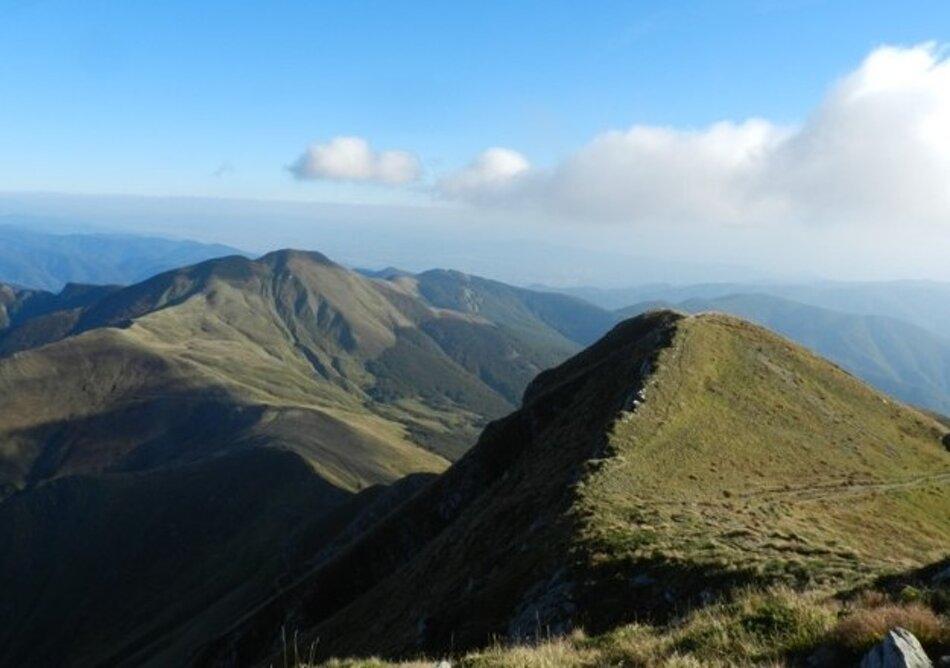 e250e80c-cf37-4821-92a1-18fa8cf7dc5e e250e80c-cf37-4821-92a1-18fa8cf7dc5e