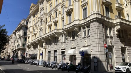 img_8411.jpeg img_8411.jpeg