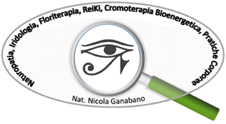 logo aggiornato novembre 2024 mezzo trasparentepng logo aggiornato novembre 2024 mezzo trasparentepng