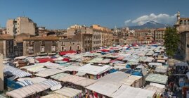 315780cc-6778-48e6-995b-65dc3d2a70e4 315780cc-6778-48e6-995b-65dc3d2a70e4