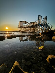 d75caddc-7499-4b7d-a5b7-b168d4c2f6a1