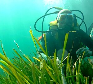 a6a35755-67d3-4f44-ad38-da6ba3a0c328