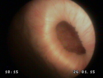 89ab00f8-7bb3-4b09-801e-54d83dc4ea53