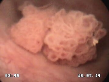 c8b142df-c43f-488e-af40-661269ae7cba