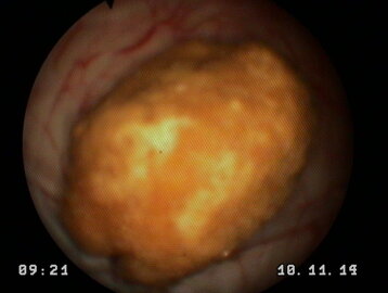 6c0d23f6-58f2-43cc-b3a8-1d7657d71b7d