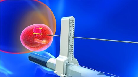 773ac6c6-8e72-43bd-bc6e-d17afe029686