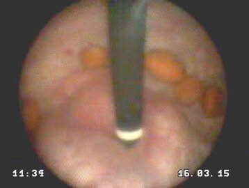 1c6a69ed-3a40-43b9-88f8-8e0fdcdeb11c