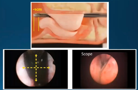 46e27838-04fb-470b-a670-ca84b9075aec