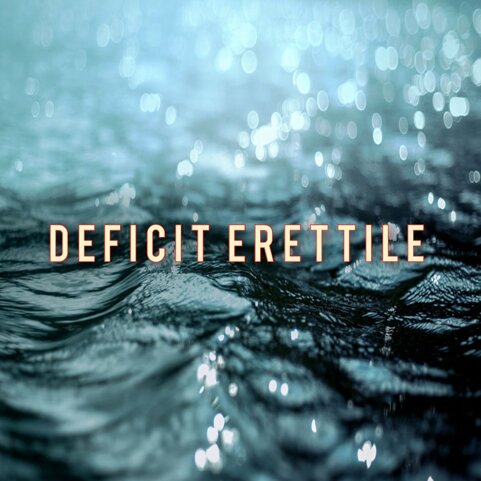 44bbcc7d-81ba-443d-bc93-509a2189e3f4