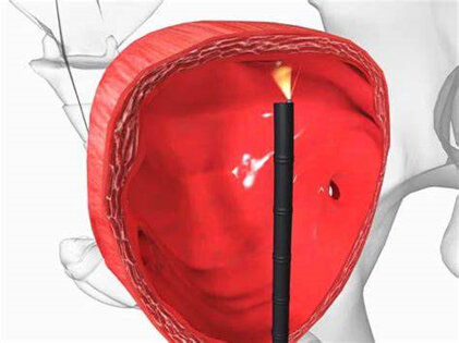 b2b29ff9-3868-4ff7-aa47-00b38529f18b