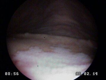 98d7352a-a186-41d1-9215-ddfc9c525294