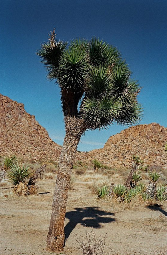 5d494f61-ec52-4343-81b4-b57273887d68