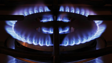 bb524ad8-4a75-416e-972d-412b117400d8