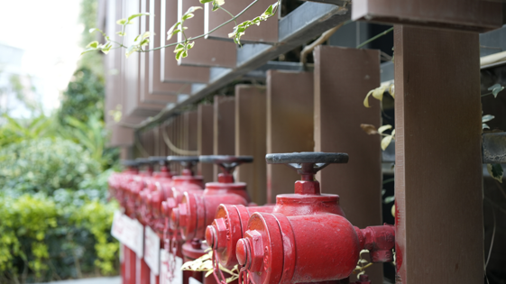 b085ec98-ba30-41b3-9662-1aeb3691c009