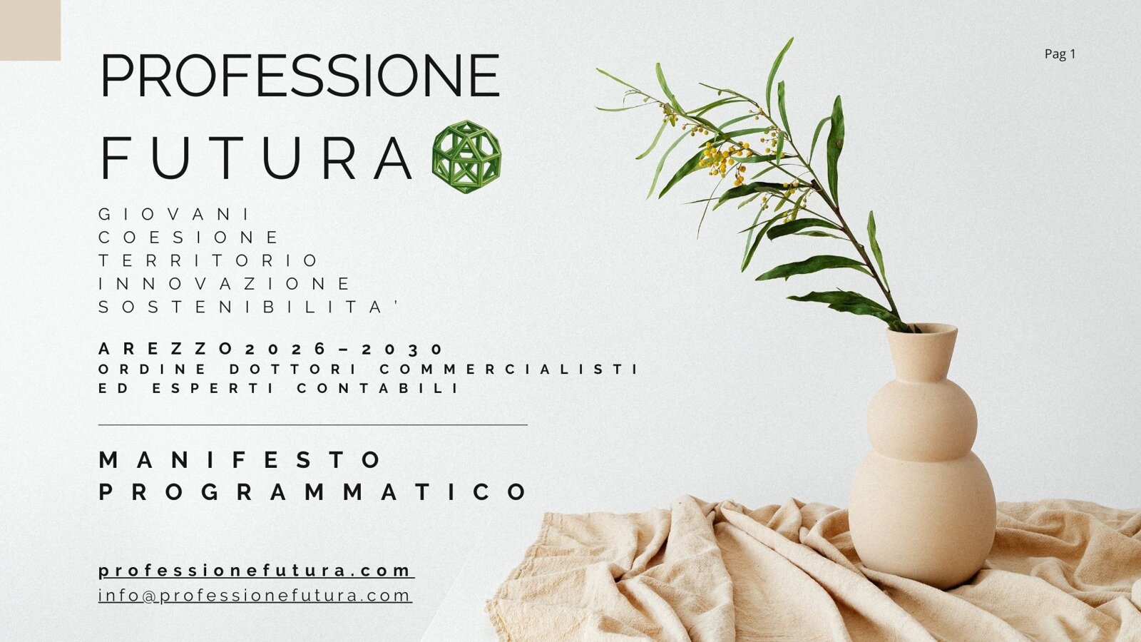 manifesto programmatico.jpeg