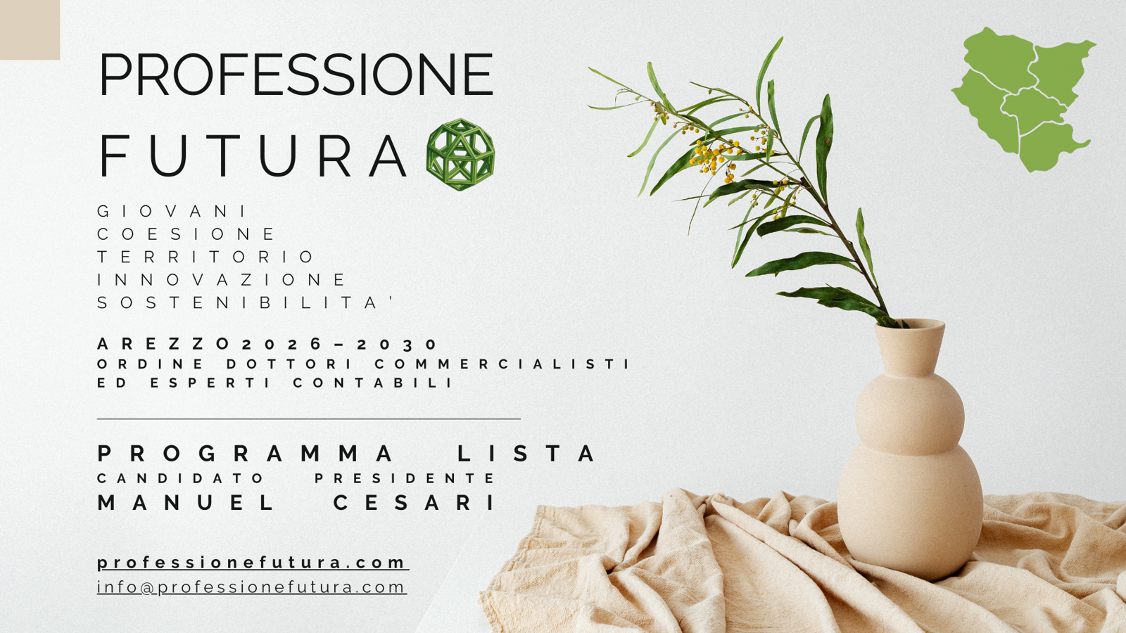 manifesto programmatico