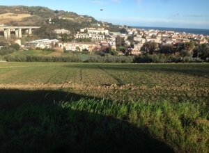 img_4446.jpeg