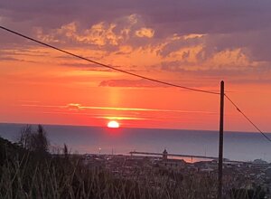 img_5797.jpeg