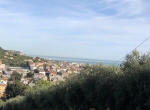 img_3237.jpeg