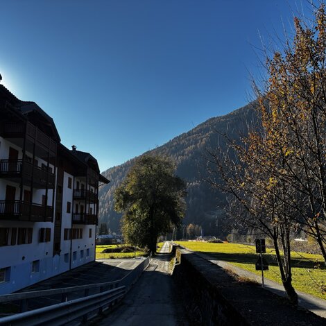 31291_91cb0a27082fe42a64216c2c48870ae056d736dc