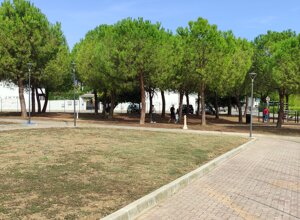 img_20211002_121503.jpeg
