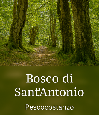 bosco di sant'antonio