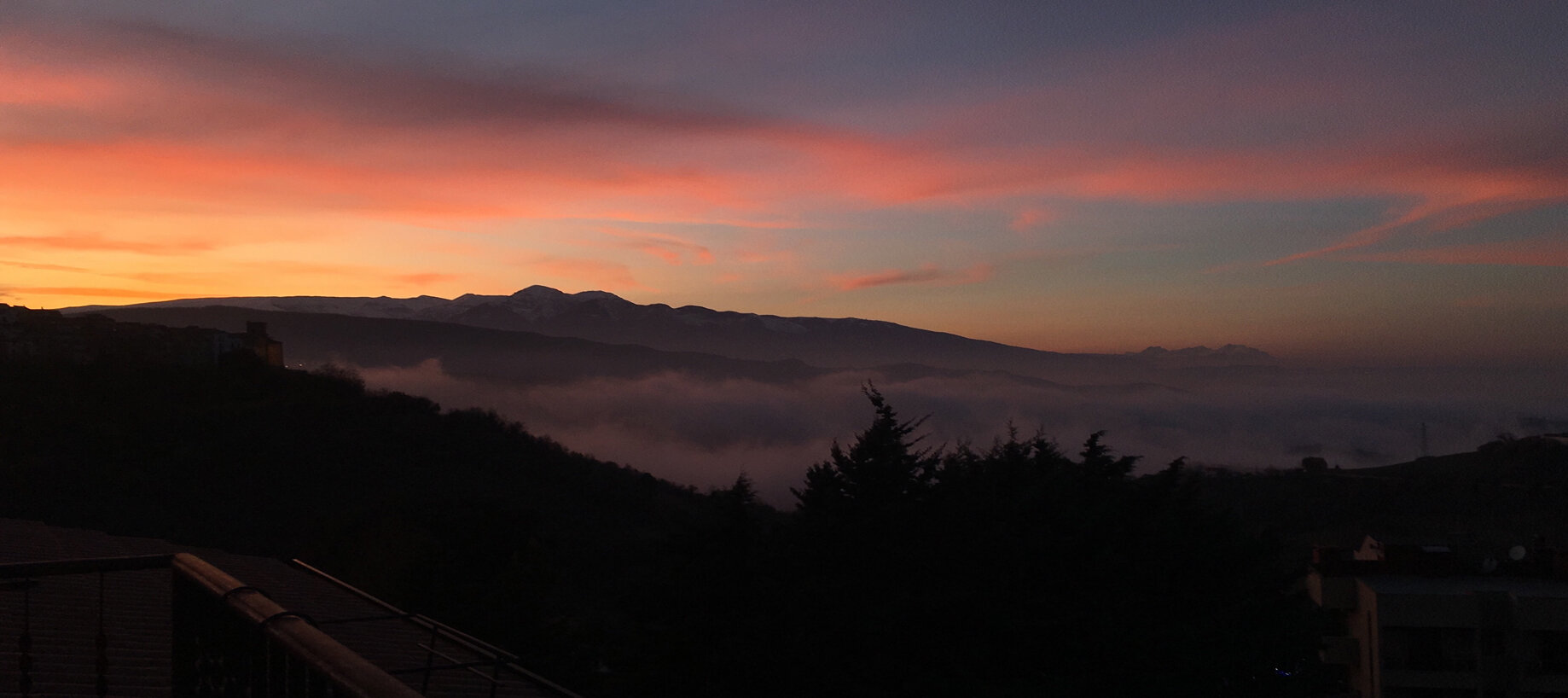 img_6530.jpeg img_6530.jpeg