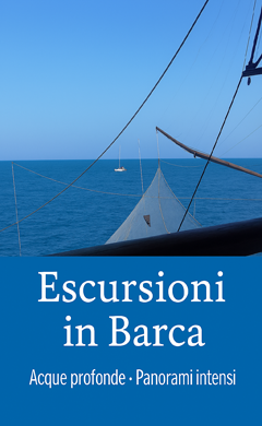 escursioni in barca