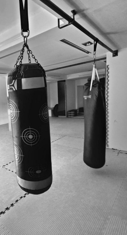 salacorsi5 salacorsi5