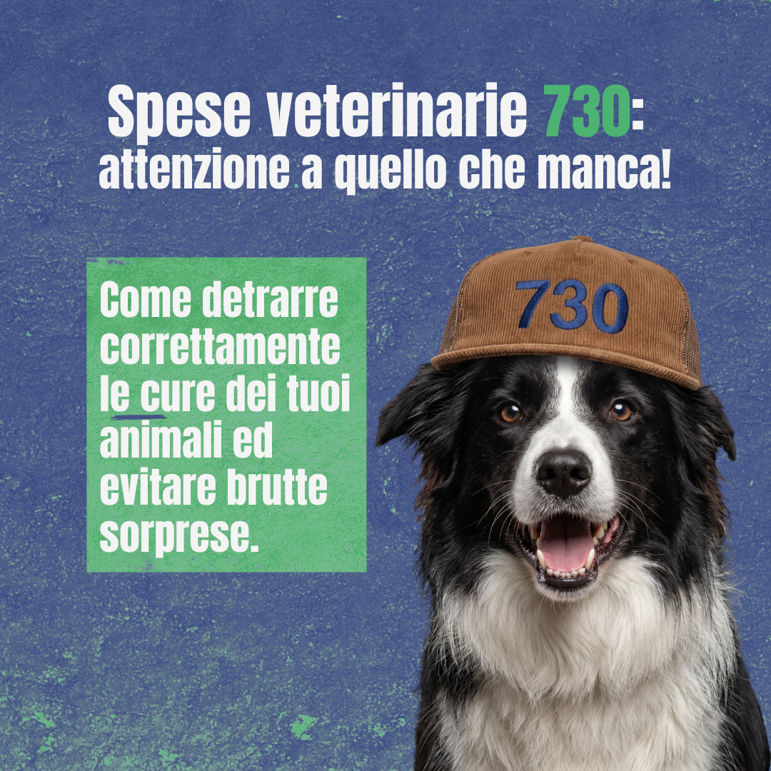 Modello 730: come funziona la detrazione per le spese veterinarie