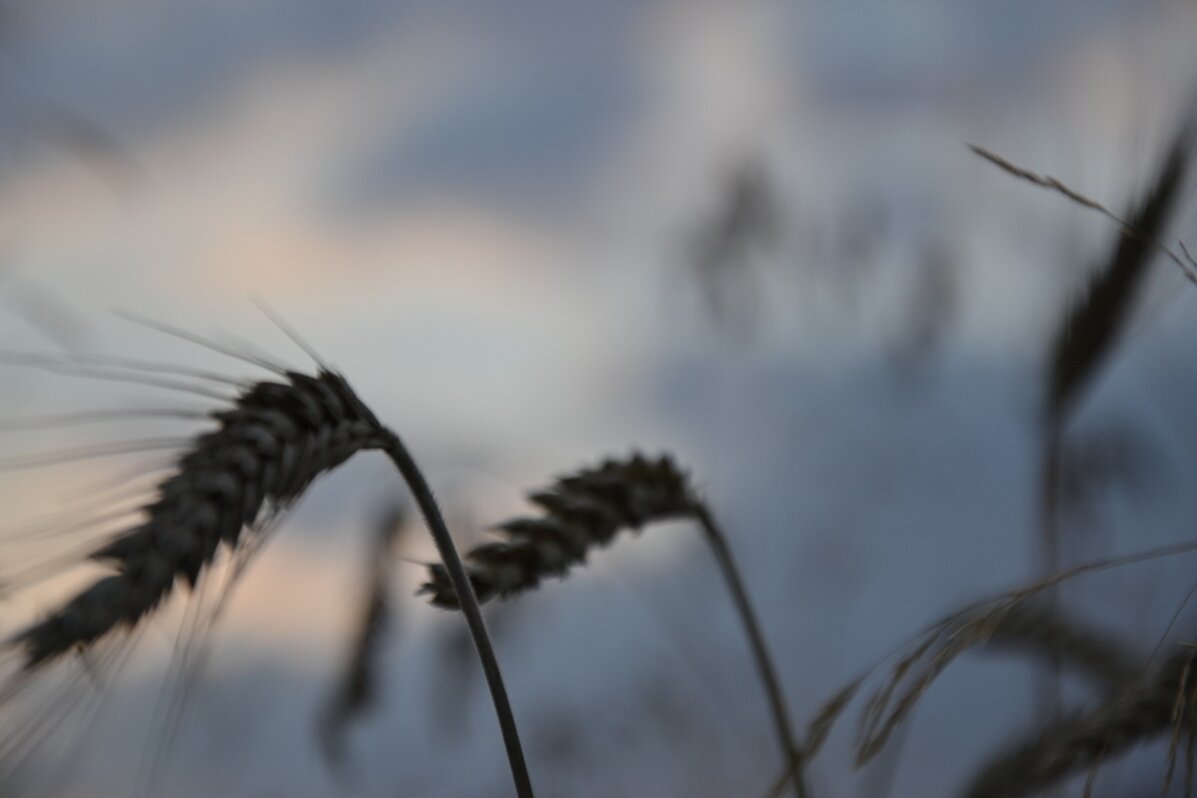 82ce63b0-26e0-4b77-9874-268f8915463f