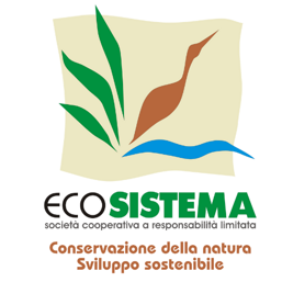 a607a36a-2adc-40d4-92ea-aa4d2ef0e2d0