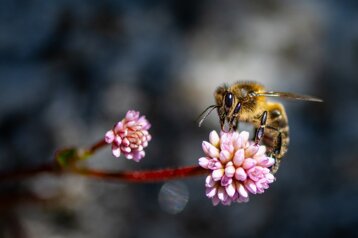 e4a1d432-35a9-4a94-bae1-336b62fa9fe4