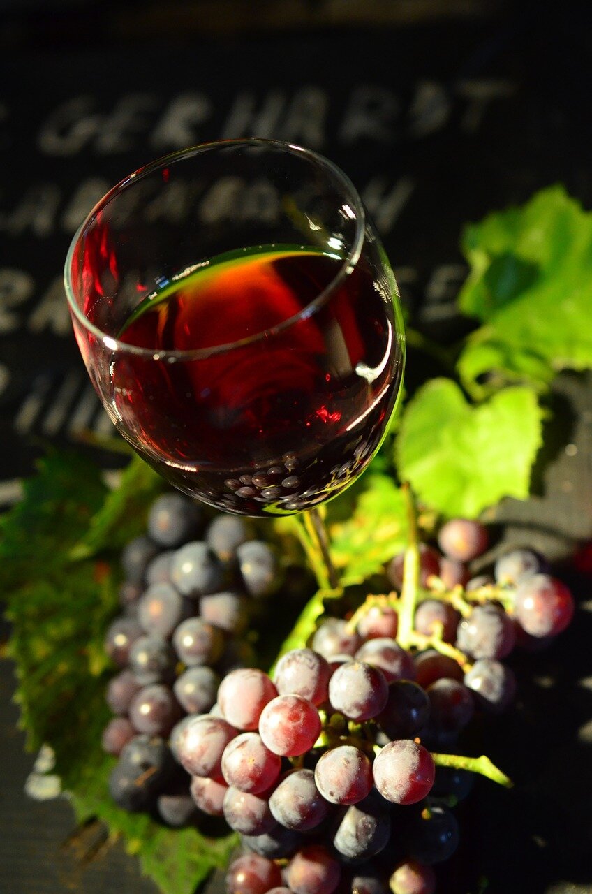 Un buon vino nasce da una buona terra Un buon vino nasce da una buona terra