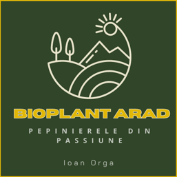 96bd1862-e3ae-470d-909b-8f2cfb4a51e7