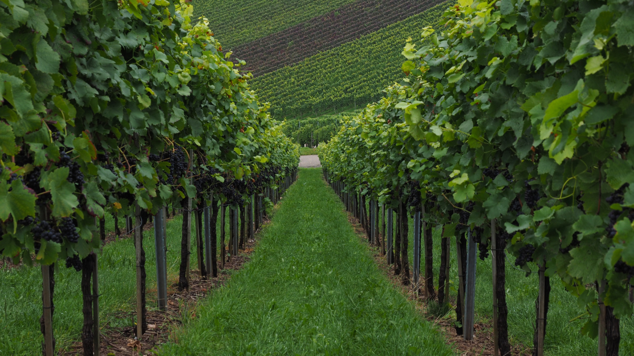 5b66b979-72a0-4d5d-bc9f-6f3c8a797144