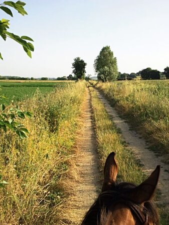 109158ef-0b40-49a6-9b5c-9c155f0afe8c