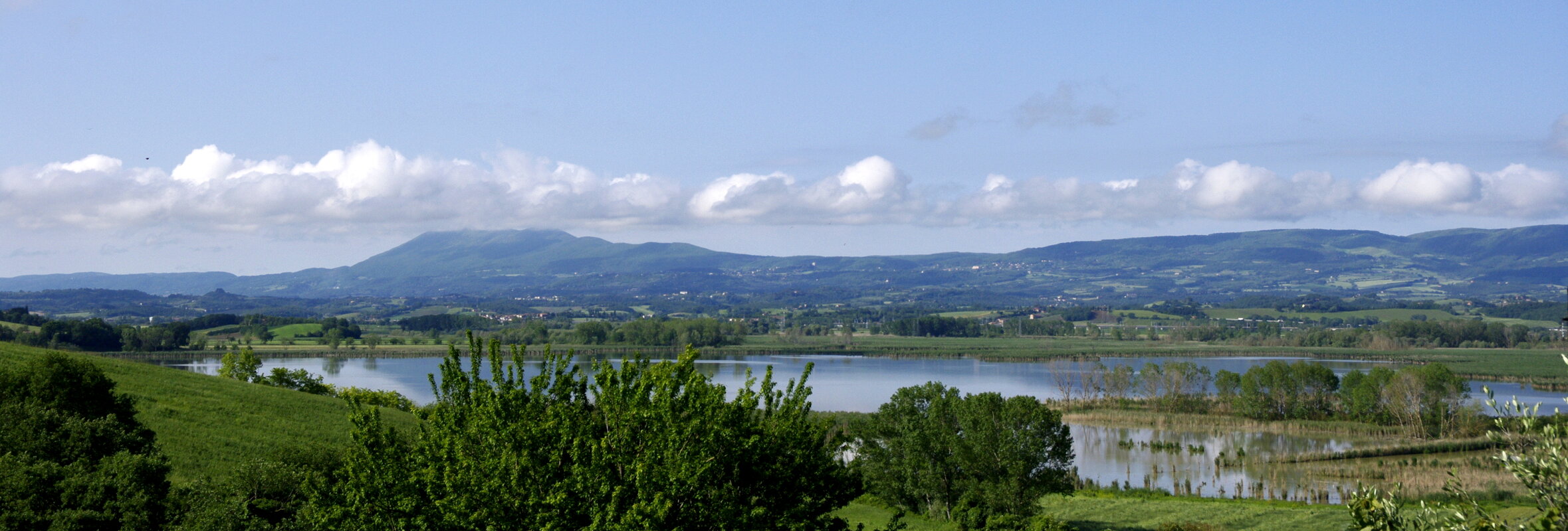 e7d01a15-7c14-41af-be1e-e85eac4aefe8