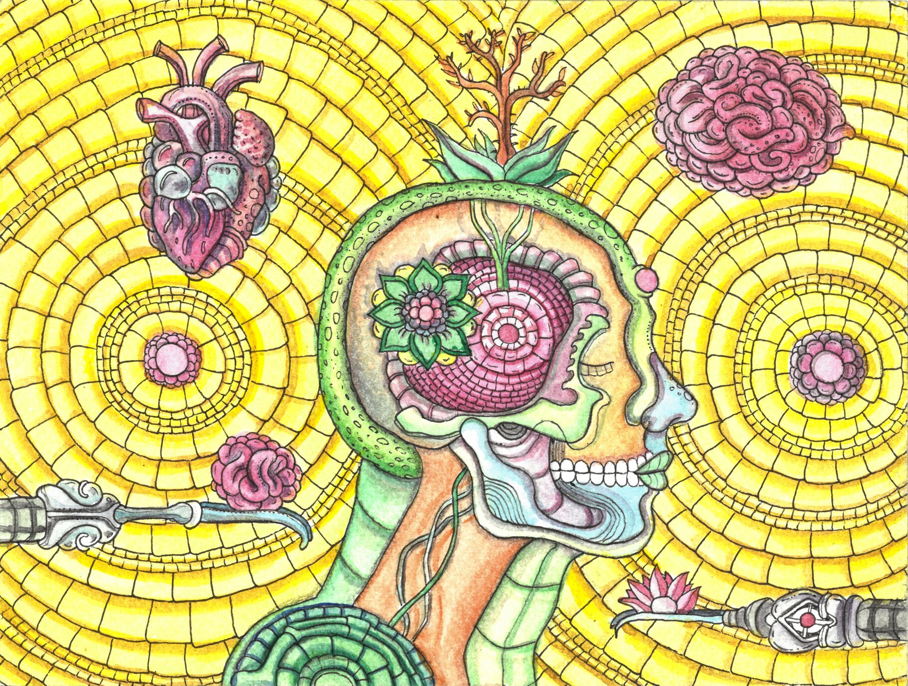 eba2e230-b39e-4cb3-a2b2-8d6911a62d73 eba2e230-b39e-4cb3-a2b2-8d6911a62d73